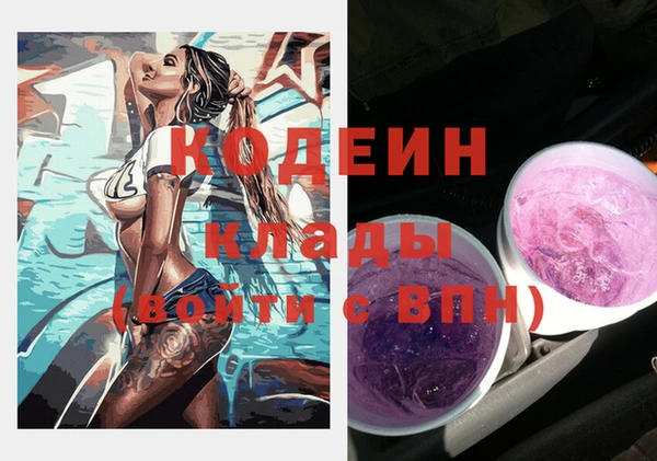 прущие грибы Бугульма