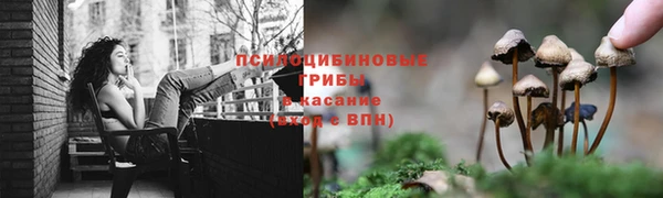спиды Богородицк