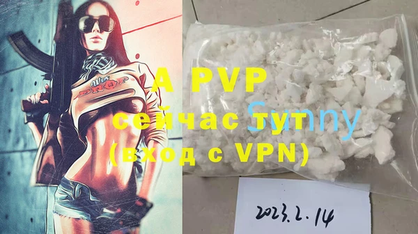 спиды Богородицк