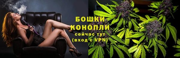спиды Богородицк