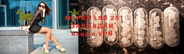 прущие грибы Бугульма
